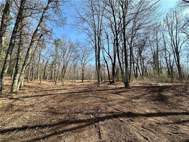 16 295th Street, Home with 0 bedrooms, 0 bathrooms and null parking in Holcombe WI | Image 29