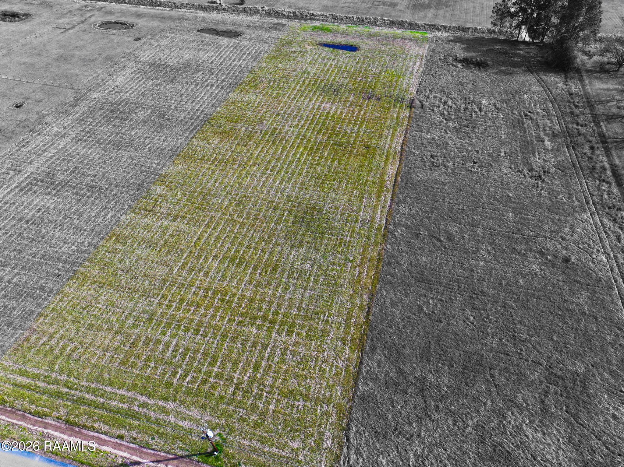 Land in Opelousas 4