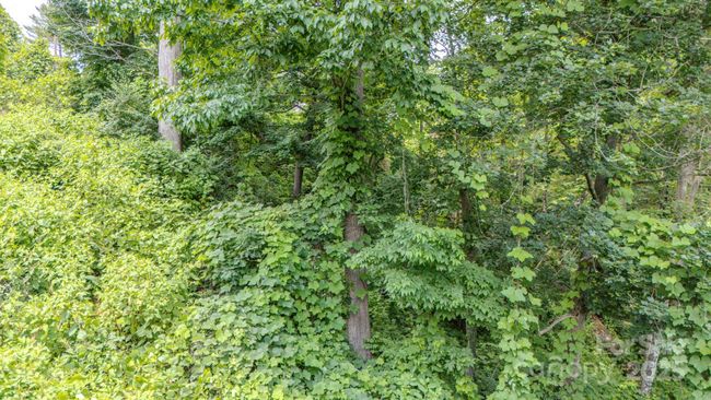 99999 Westchester Dr, Home with 0 bedrooms, 0 bathrooms and null parking in Asheville NC | Image 6
