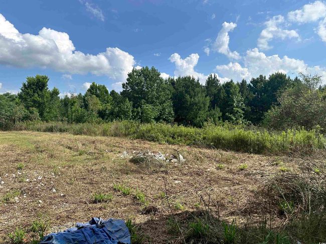 View of yard | Image 19