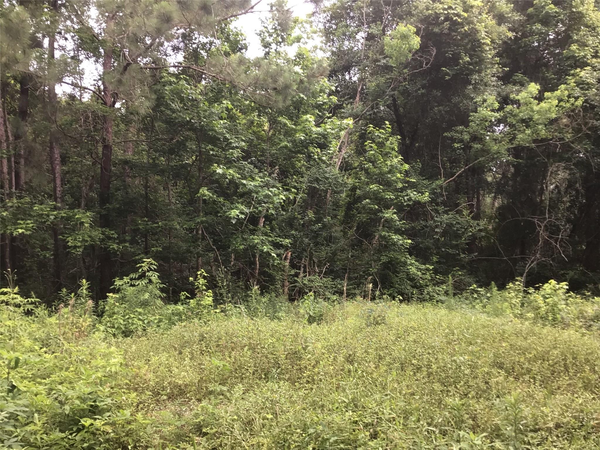Land in Dayton 2