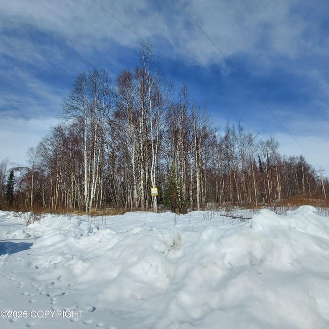 Lot 1 | Image 5