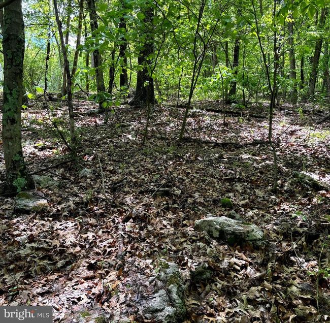 LOT 4 Yost Rd, Home with 0 bedrooms, 0 bathrooms and null parking in New Creek WV | Image 13