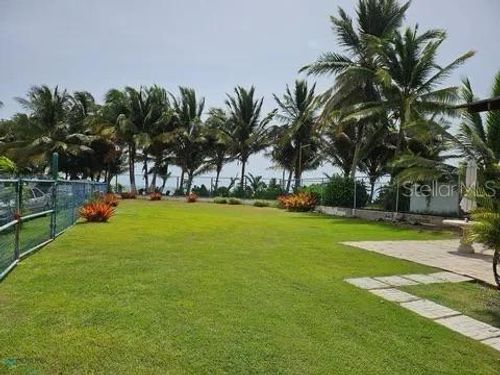 6-Las Picuas Beach Bo. Zorzal Orchard, RIO GRANDE, PR, 00745 | Card Image