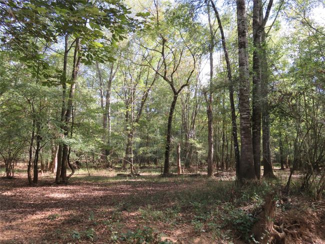 9795 S Us Highway 59, Home with 0 bedrooms, 0 bathrooms and null parking in Nacogdoches TX | Image 10