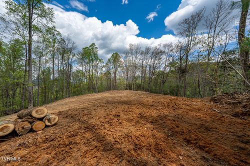 1-1 Ridge Top Lane, Unicoi, TN, 37692 | Card Image