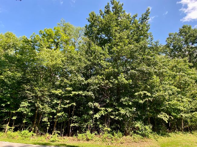 2665 S Gayle Dr, Home with 0 bedrooms, 0 bathrooms and null parking in Morgantown IN | Image 8