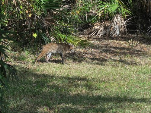 2212 Wakefield St, PORT CHARLOTTE, FL, 33948-1131 | Card Image