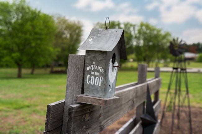 Welcome to the Chicken Coop | Image 11