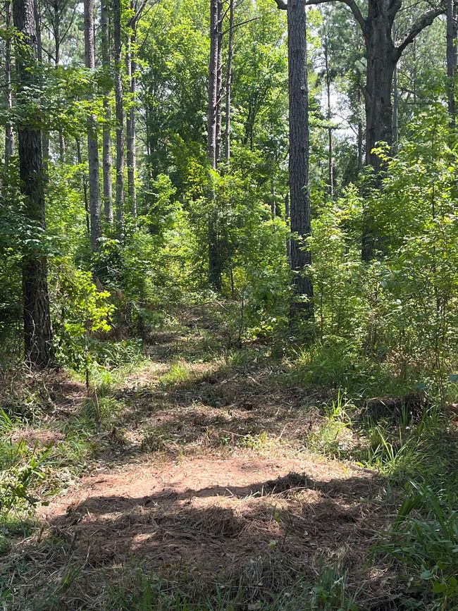 000 Highway 146, Home with 0 bedrooms, 0 bathrooms and null parking in Ruston LA | Image 20