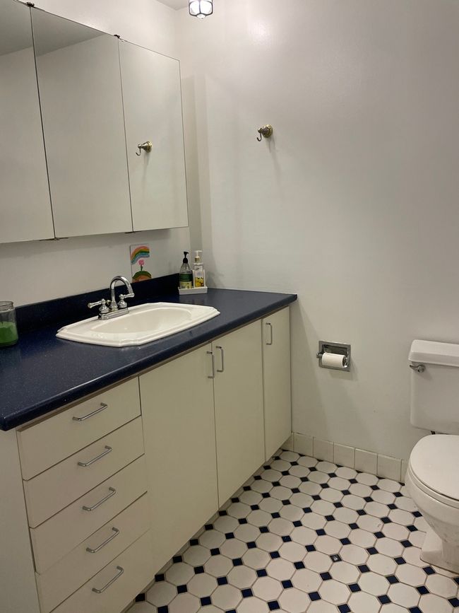 APT-702 - 621 S Plymouth Ct, Condo with 2 bedrooms, 1 bathrooms and 1 parking in Chicago IL | Image 14