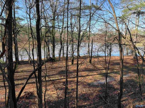 1 County Road 92, Cedar Bluff, AL, 35959 | Card Image