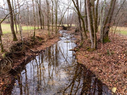 0 Shelter Branch Rd, Cumberland Furnace, TN, 37051 | Card Image