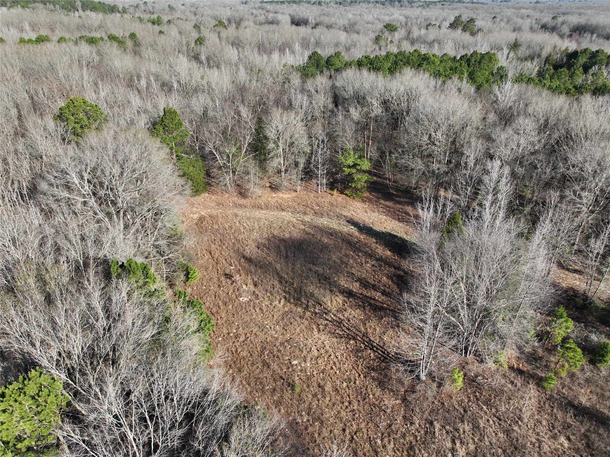 Land in Quitman 4