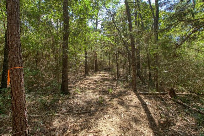 View of landscape | Image 13