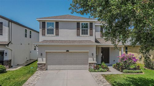 11615 Warren Oaks Pl, Riverview, FL, 33578-0004 | Card Image