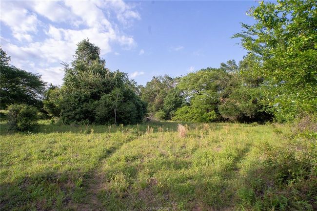 View of tree filled area | Image 6