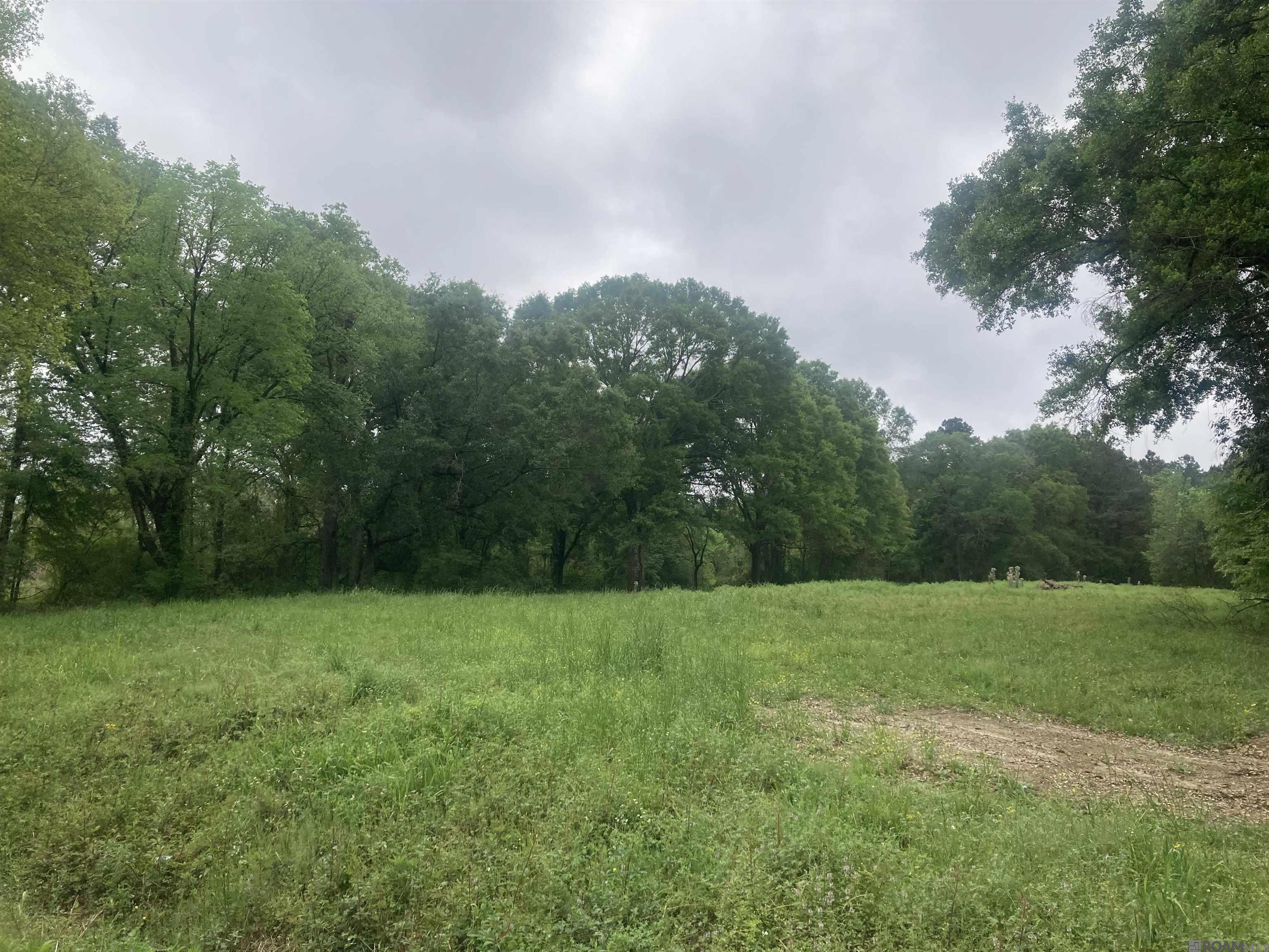Land in Denham Springs 3