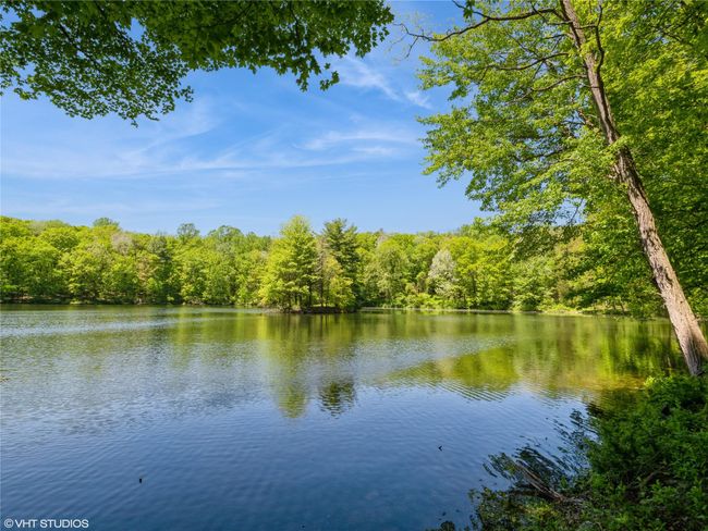 Water view with a heavily wooded area | Image 5