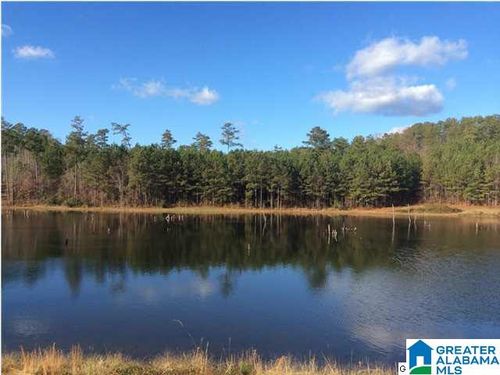 48-48 Bells Ln, VINCENT, AL, 35178 | Card Image