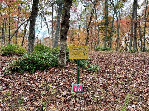 Lot 16 Cricket Ln, Warne, NC, 28909 | Card Image