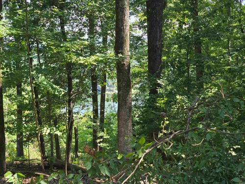 Lot 231 &amp; 232 Medinah Overlook, Hot Springs, AR, 71913-0000 | Card Image