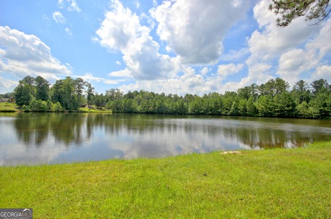 383 Beaumont Farms Dr, House other with 6 bedrooms, 5 bathrooms and null parking in Sharpsburg GA | Image 80