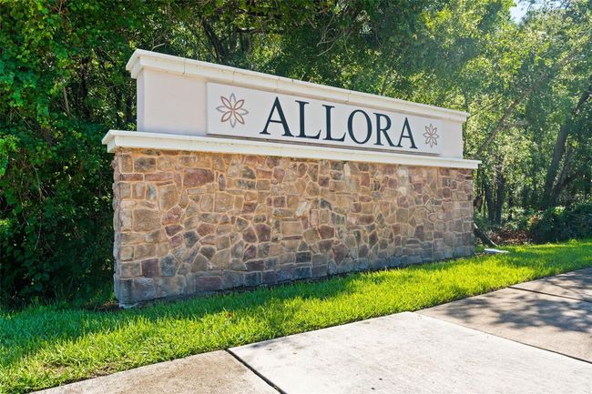 Allora entry | Image 52
