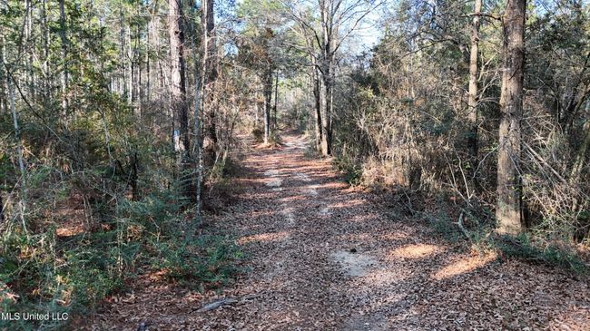 Trails 36 | Image 16