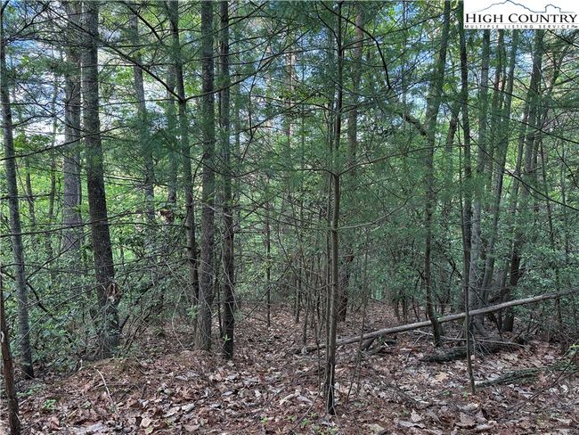 27 Wolf Pen Rd, Home with 0 bedrooms, 0 bathrooms and null parking in Purlear NC | Image 13