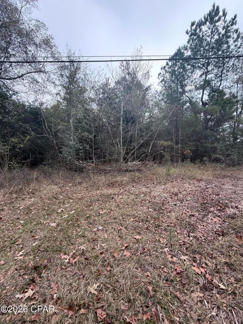 0 Dairy Rd, Sneads, FL, 32460 | Card Image