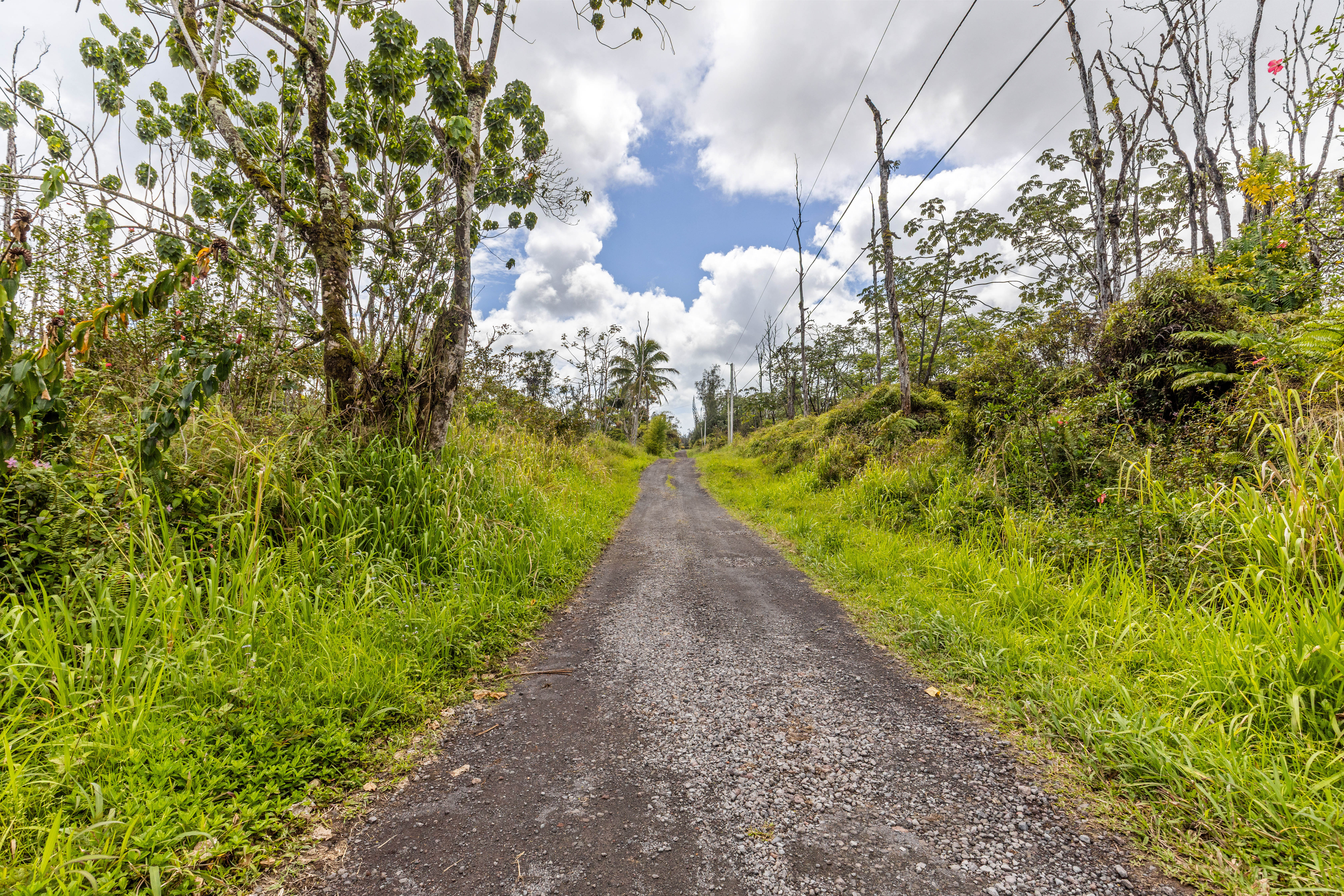 Land in Kurtistown 2