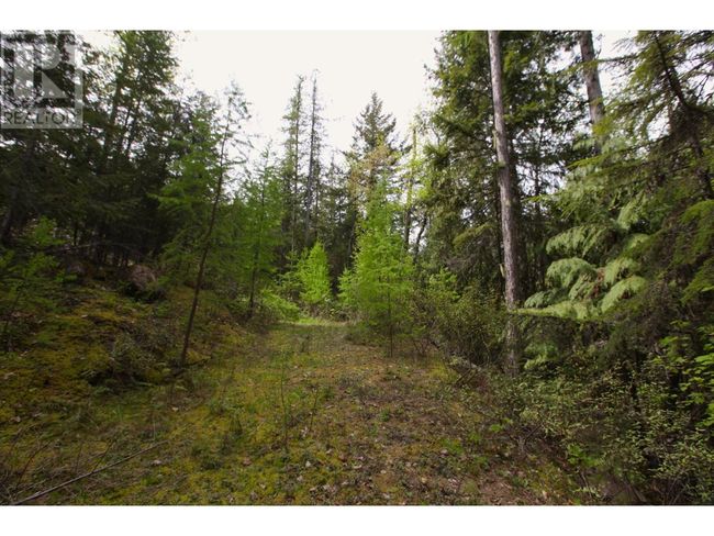 434 Lexington Ave, Home with 0 bedrooms, 0 bathrooms and null parking in Procter BC | Image 21