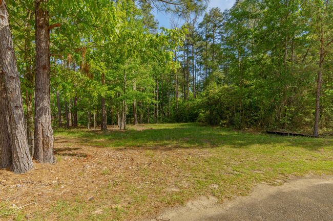 34 Bent Pebble Point-5 | Image 7