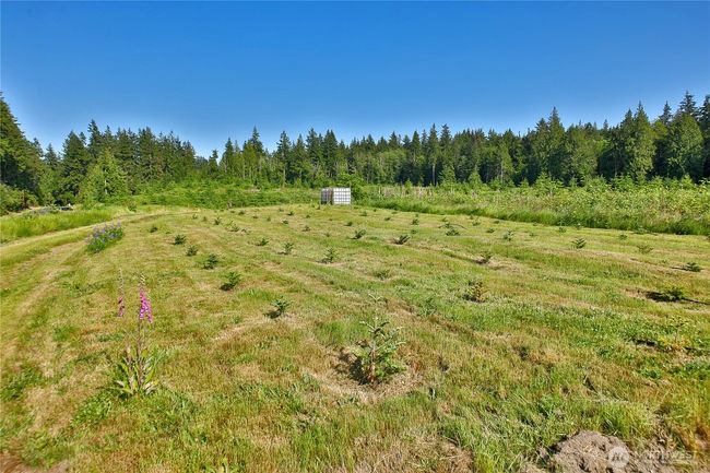 2062 Goodell Rd, Home with 0 bedrooms, 0 bathrooms and null parking in Freeland WA | Image 10