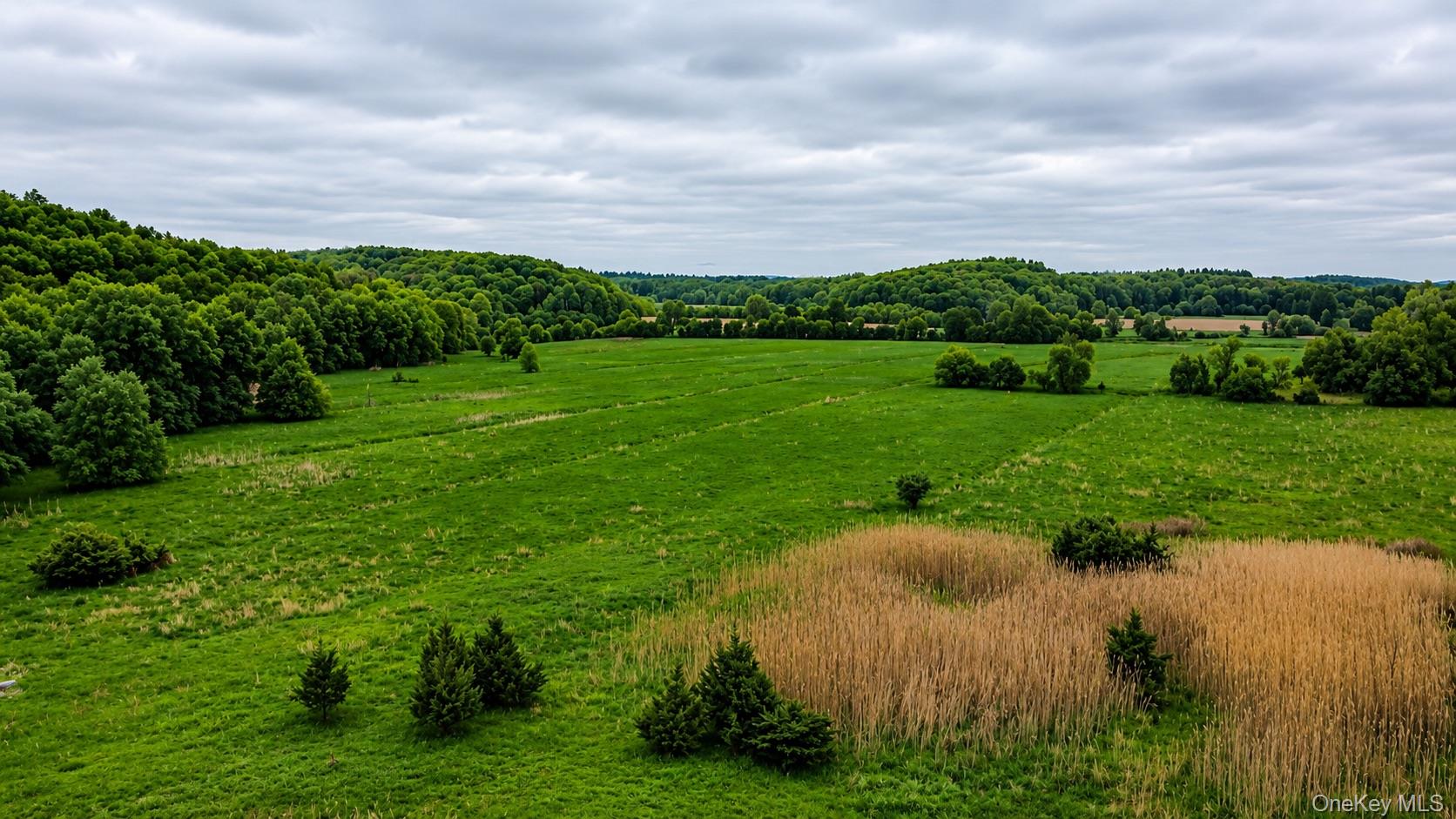 Land in Chester Town 5
