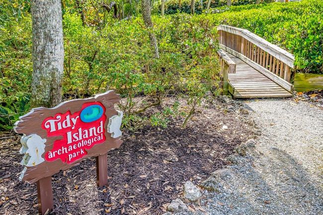 80 Tidy Island Boulevard, Townhouse with 3 bedrooms, 3 bathrooms and null parking in BRADENTON FL | Image 50