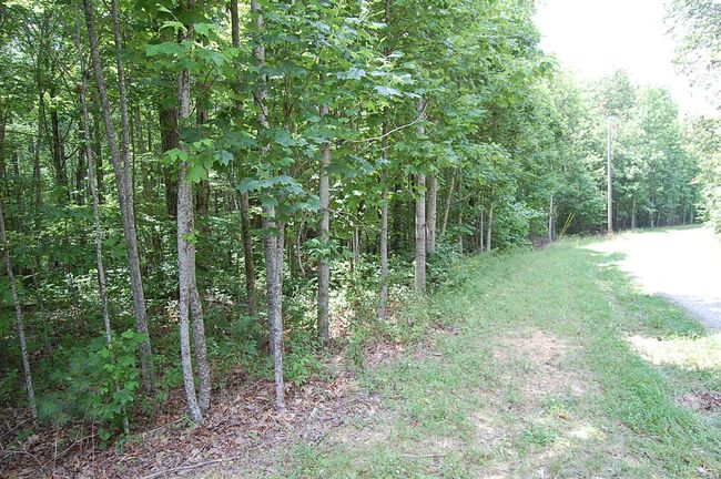 10 Laurel Brook Rd, Home with 0 bedrooms, 0 bathrooms and null parking in Dunlap TN | Image 16