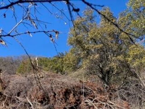 0 Cr 1176, Santa Anna, TX, 76878 | Card Image