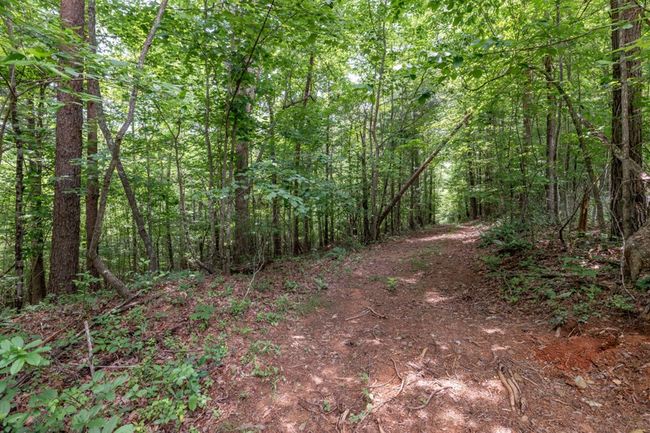 26.18 AC Green Road, Home with 0 bedrooms, 0 bathrooms and null parking in Young Harris GA | Image 12
