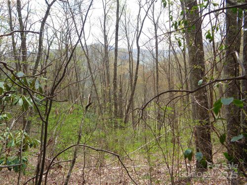 00 Bent Tree Rd, Maggie Valley, NC, 28751 | Card Image