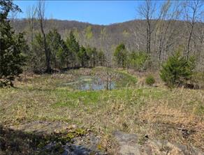 Land in Witter 4
