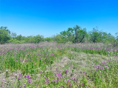 lot59 Comanche Lake Road, Home with 0 bedrooms, 0 bathrooms and null parking in Comanche TX | Image 1