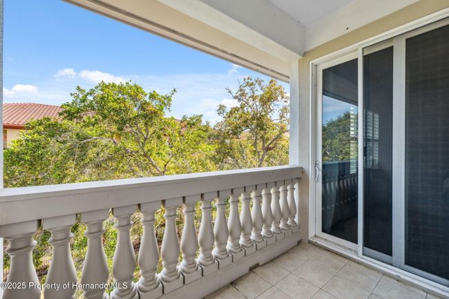 UNIT-411 - 1340 Bayshore Blvd, Condo with 3 bedrooms, 2 bathrooms and null parking in Dunedin FL | Image 30