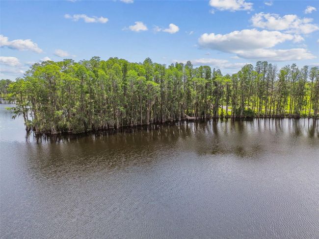 820 Newberger Rd, House other with 3 bedrooms, 2 bathrooms and null parking in LUTZ FL | Image 23