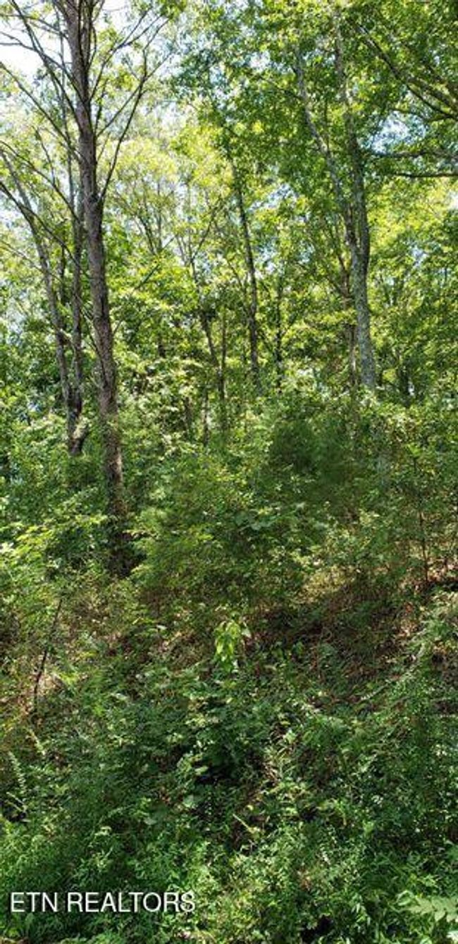 4 Treeline Dr, Home with 0 bedrooms, 0 bathrooms and null parking in Dunlap TN | Image 6