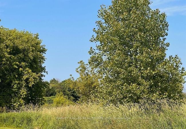 308 Quaker Rd, Home with 2 bedrooms, 1 bathrooms and 10 parking in Bloomfield ON | Image 4
