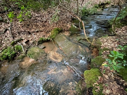 64 Kristen Lane, Ellijay, GA, 30540 | Card Image