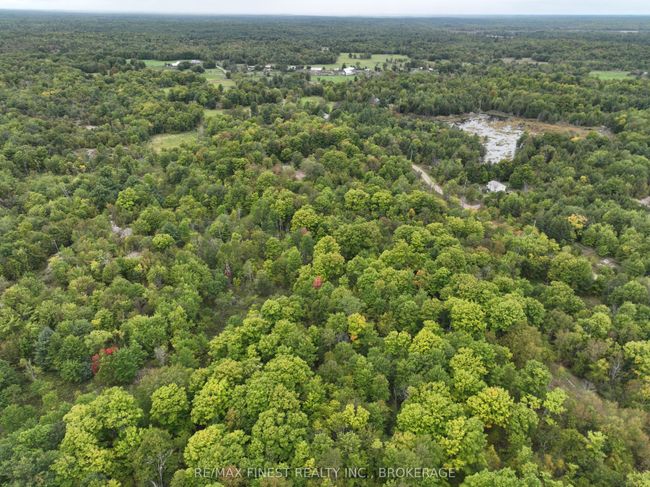1147 Cronk Rd, Home with 0 bedrooms, 0 bathrooms and 4 parking in Parham ON | Image 25