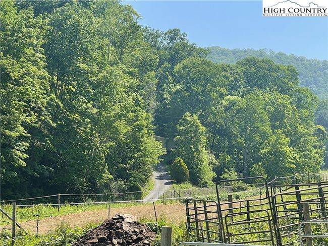 Area View! | Image 24